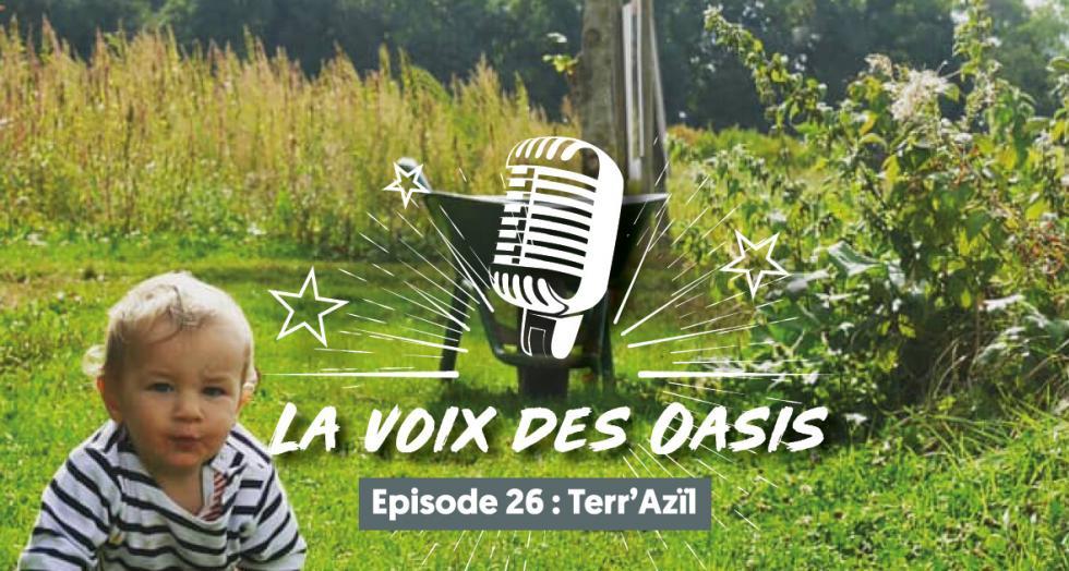 Terazil 1