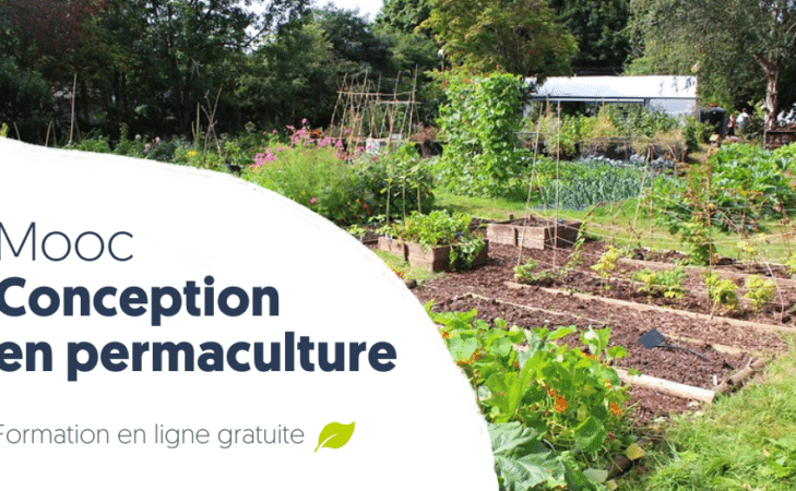 Nouvelle session du Mooc « Conception en permaculture » !