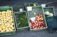 Pétition contre la Loi Duplomb : plus de deux millions de voix pour la démocratie, la santé et l’agriculture du vivant
