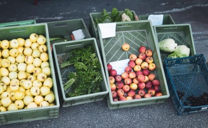 Pétition contre la Loi Duplomb : plus de deux millions de voix pour la démocratie, la santé et l’agriculture du vivant