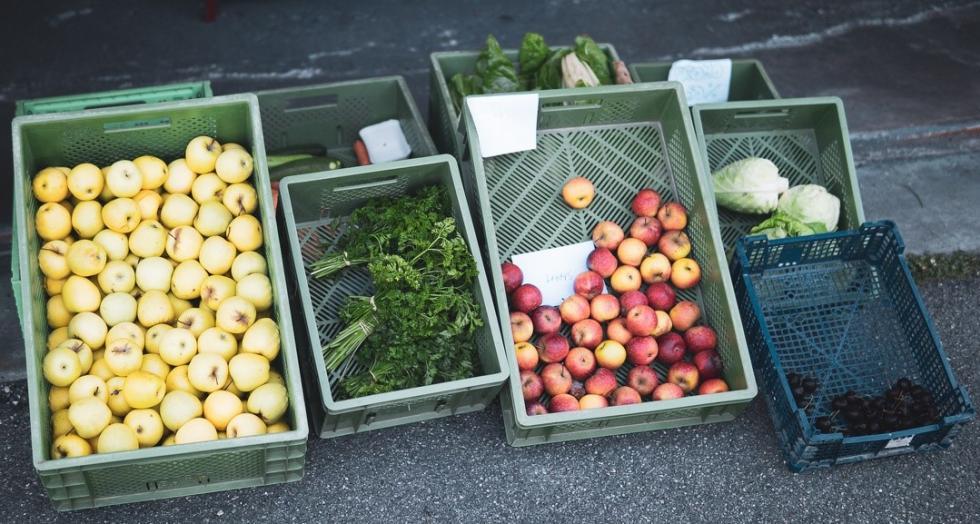 Pétition contre la Loi Duplomb : plus de deux millions de voix pour la démocratie, la santé et l’agriculture du vivant