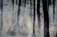 Incendie 2026 : « il y aura un avant et un après »