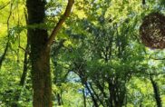 Interview : comment renforcer les associations face à l’épuisement militant ?