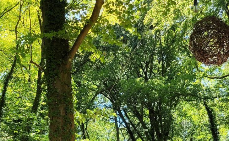 Interview : comment renforcer les associations face à l’épuisement militant ?