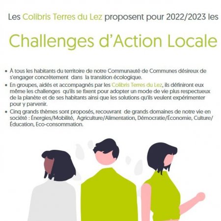 Challenges d'action locale